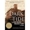 Dark Tide: The Great Boston Molasses Flood of 1919 - Paperback