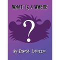 What Is a Where? - Hardcover