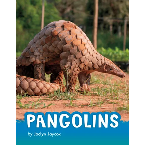Pangolins - Paperback