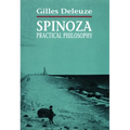Spinoza: Practical Philosophy - Paperback