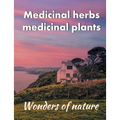 Medicinal herbs / medicinal plants: Wonders of nature - Paperback