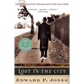 Lost in the City - Paperback