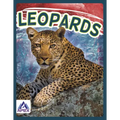 Leopards - Library Binding