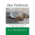 Sea Turtles: Amazing Giants of the Sea - Paperback