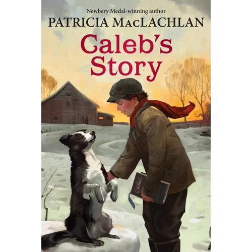 Caleb's Story - Paperback