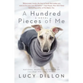 A Hundred Pieces of Me - Paperback