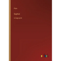 Sophist: in large print - Paperback