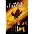 Call Down the Hawk (the Dreamer Trilogy, Book 1) - Paperback