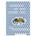 Anatomy of the Honey Bee - Hardcover