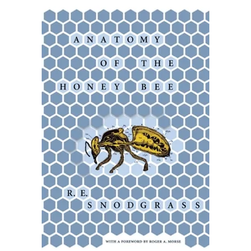 Anatomy of the Honey Bee - Hardcover