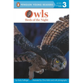 Owls: Birds of the Night - Paperback