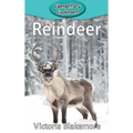 Reindeer - Hardcover