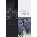 What Color Is the Sacred? - Hardcover
