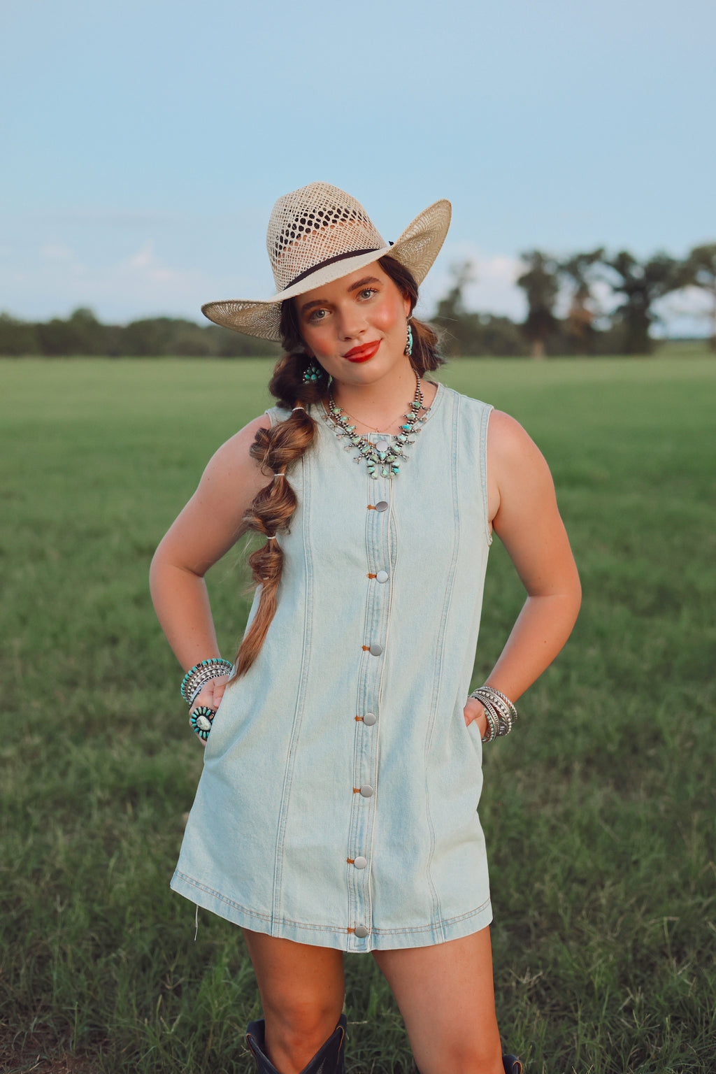 The Dobbs Denim Dress in Light Wash