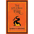 The Study of Fire - Paperback