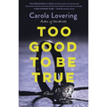 Too Good to Be True - Paperback