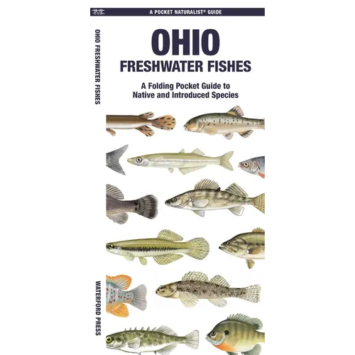 Ohio Freshwater Fishes: A Folding Pocket Guide to Native and Introduced Species