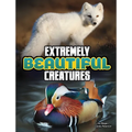 Extremely Beautiful Creatures - Hardcover
