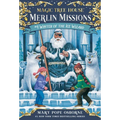 Winter of the Ice Wizard - Paperback