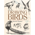Drawing Birds - Paperback