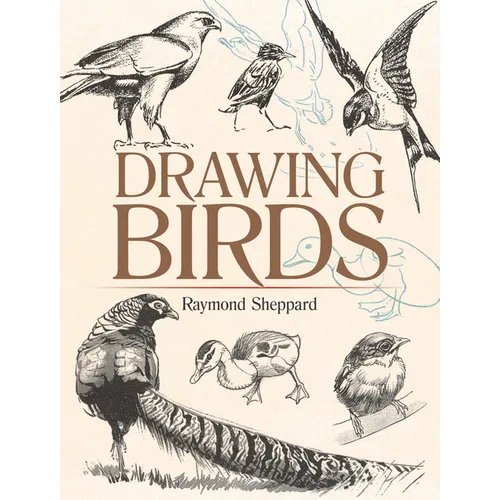 Drawing Birds - Paperback