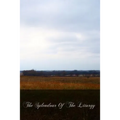 The Splendour Of The Liturgy - Paperback