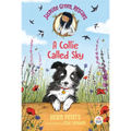 Jasmine Green Rescues: A Collie Called Sky - Paperback