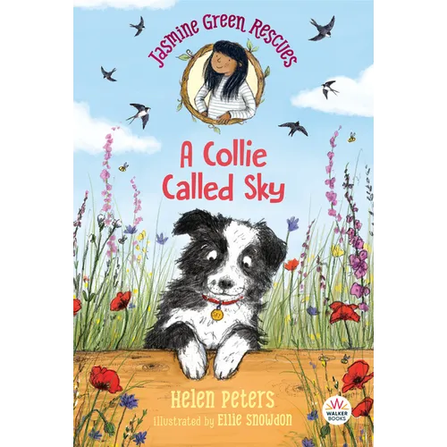 Jasmine Green Rescues: A Collie Called Sky - Paperback