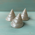Large Pearl Trochus Shell (Trochus niloticus)