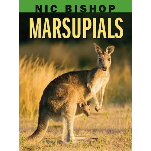 Nic Bishop: Marsupials - Hardcover