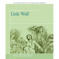 Little Wolf - Paperback