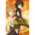 A Certain Magical Index, Vol. 12 (Light Novel) - Paperback