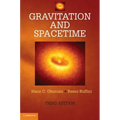 Gravitation and Spacetime - Hardcover