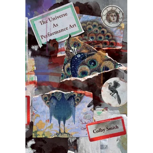 The Universe as Performance Art - Paperback