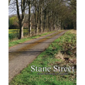 Stane Street: From Chichester to London - Paperback