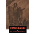 Frankenstein or The Modern Prometheus - Paperback