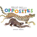 Hello Hello Opposites - Board Book