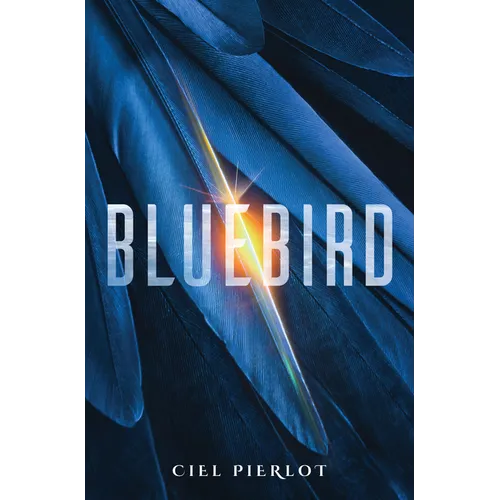 Bluebird - Paperback