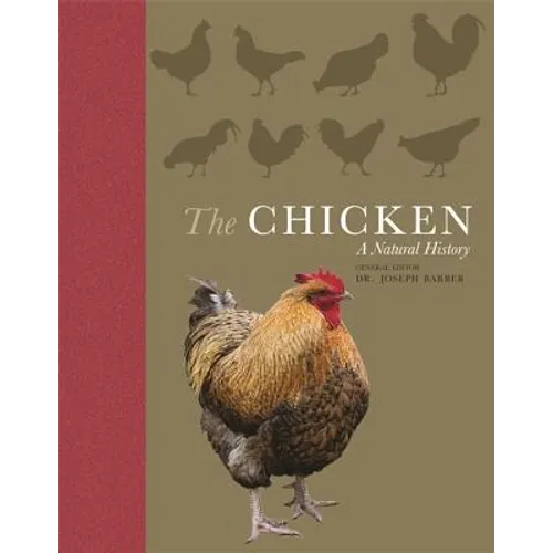 The Chicken: A Natural History - Paperback