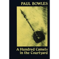 A Hundred Camels in the Courtyard - Paperback