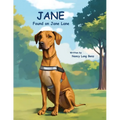 Jane Found on Jane Lane - Paperback