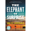 The Elephant of Surprise - Hardcover