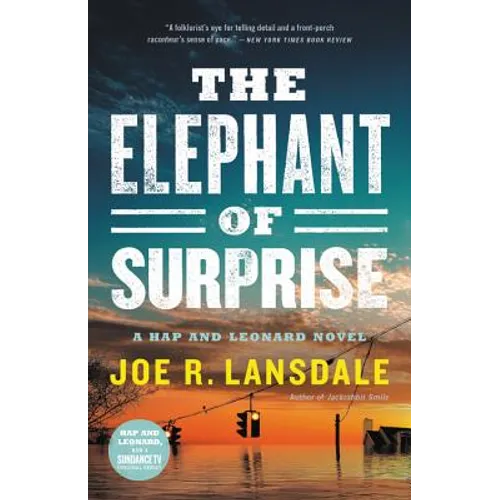 The Elephant of Surprise - Hardcover