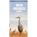 New Mexico Birds: A Folding Pocket Guide to Familiar Species - Paperback