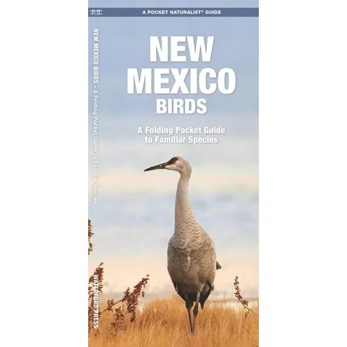 New Mexico Birds: A Folding Pocket Guide to Familiar Species - Paperback