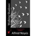 Walking Shadows - Paperback