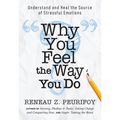 Why You Feel the Way You Do: Understand and Heal the Source of Stressful Emotions - Paperback
