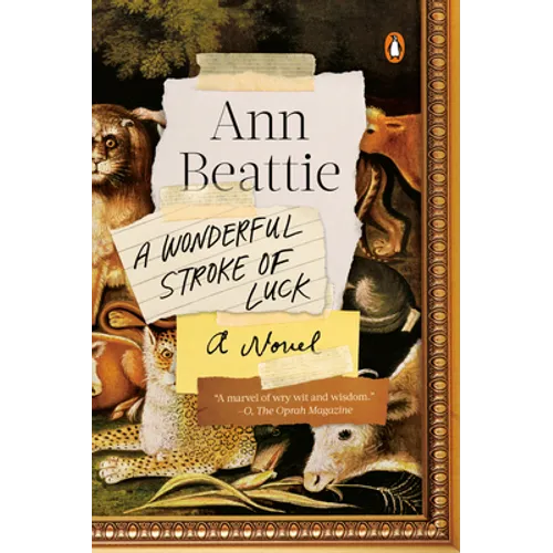 A Wonderful Stroke of Luck - Paperback
