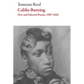Califia Burning: Poems, 2012-2019 - Paperback