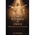 The Testament of Enoch - Paperback